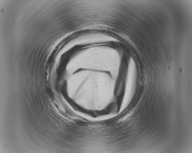 X0000053050830200508081126