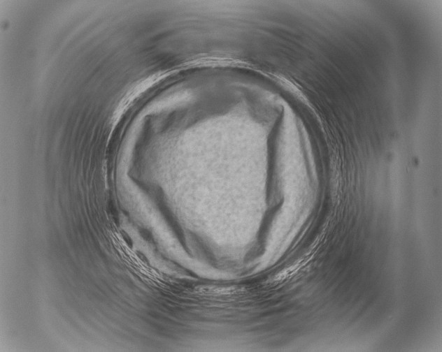 X0000053050831200508081126