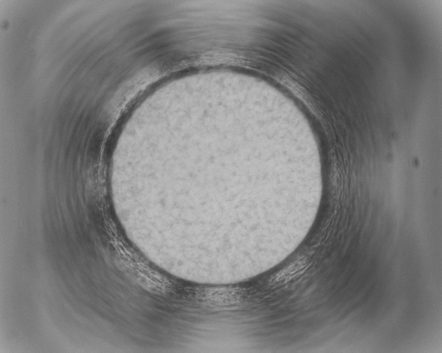 X0000053050832200508081126