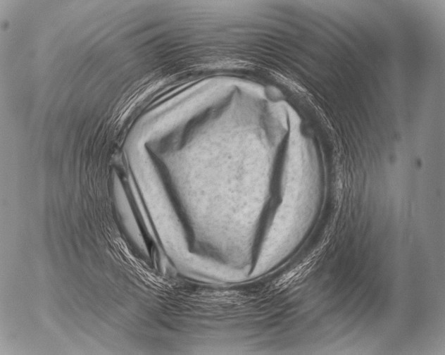 X0000053050833200508081126