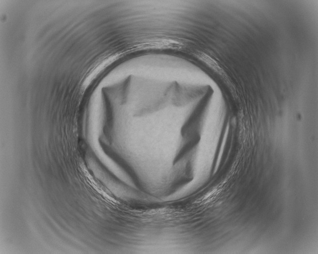 X0000053050834200508081126