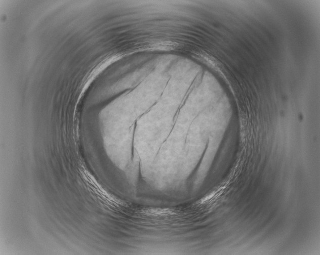 X0000053050835200508081126