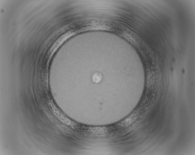 X0000053050836200508081126