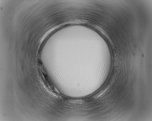 X0000053050837200508081126