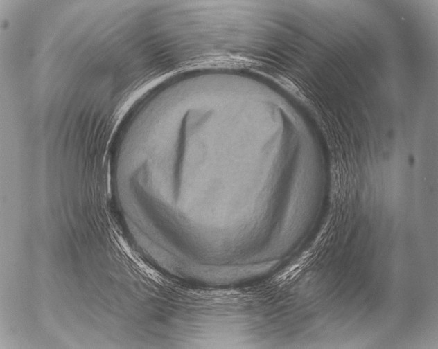 X0000053050838200508081126