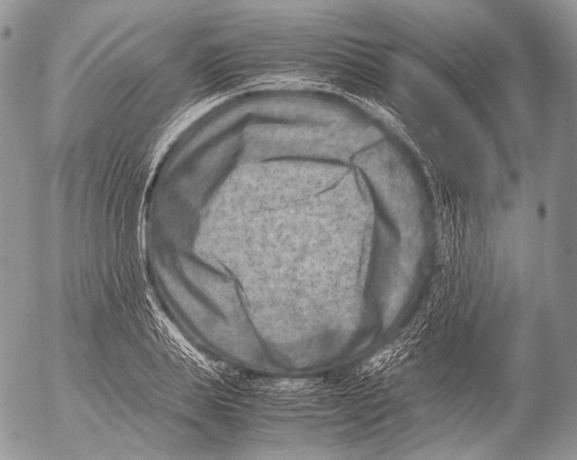 X0000053050839200508081126