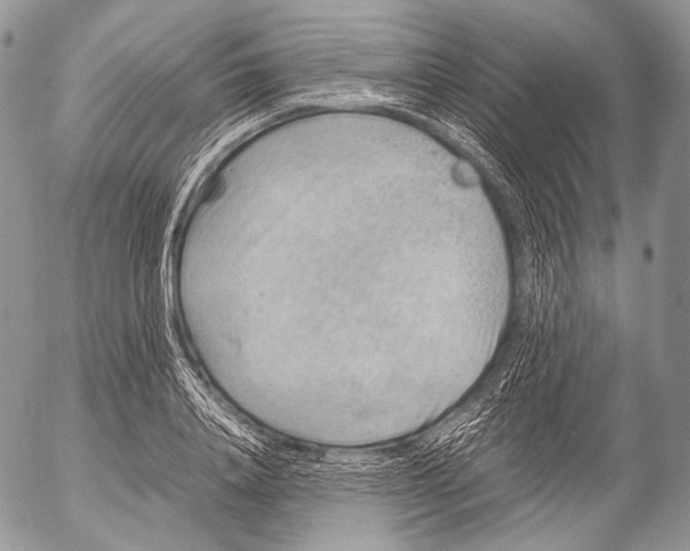 X0000053050840200508081126