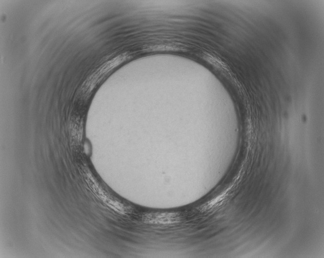 X0000053050841200508081126