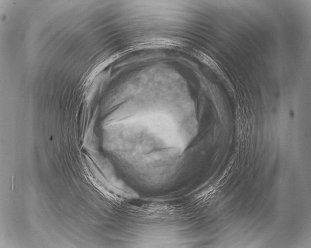 X0000053050842200508081126