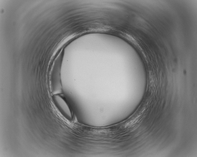 X0000053050843200508081126