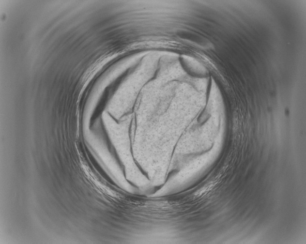 X0000053050844200508081126