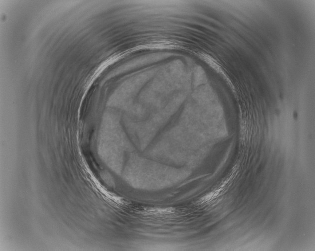 X0000053050845200508081126