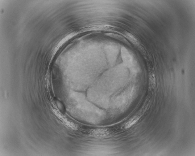 X0000053050846200508081126