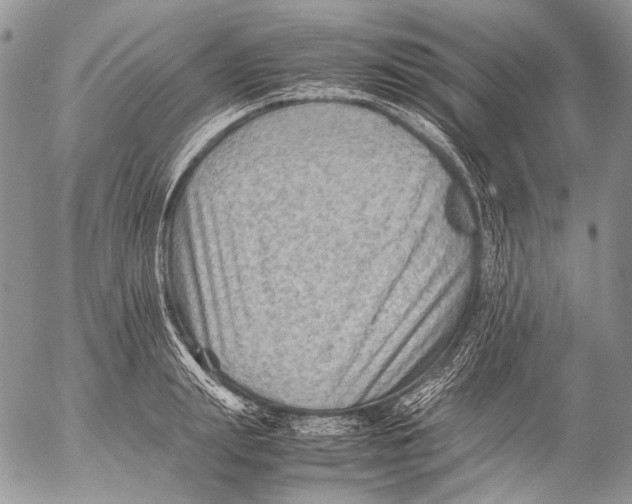 X0000053050847200508081127