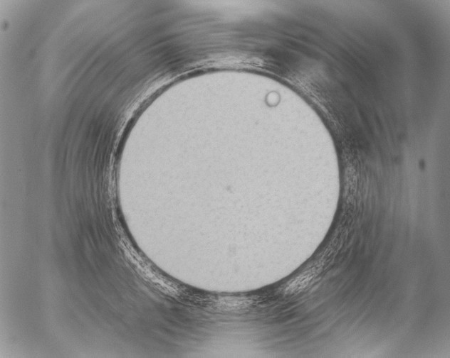 X0000053050848200508081127