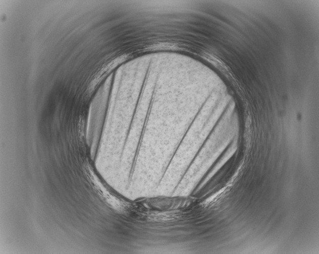 X0000053050849200508081127