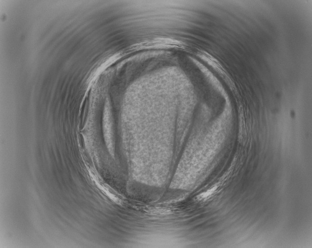 X0000053050850200508081127