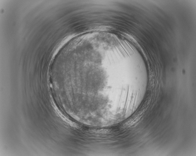 X0000053050851200508081127