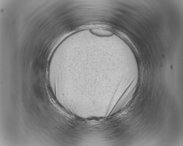 X0000053050852200508081127