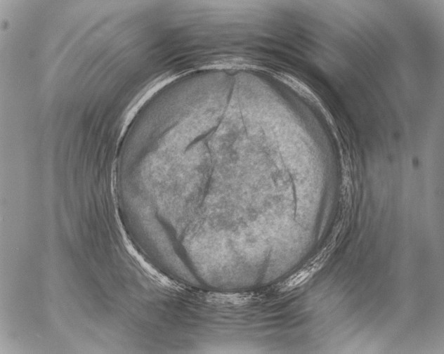 X0000053050855200508081127