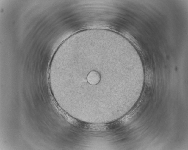 X0000053050856200508081127