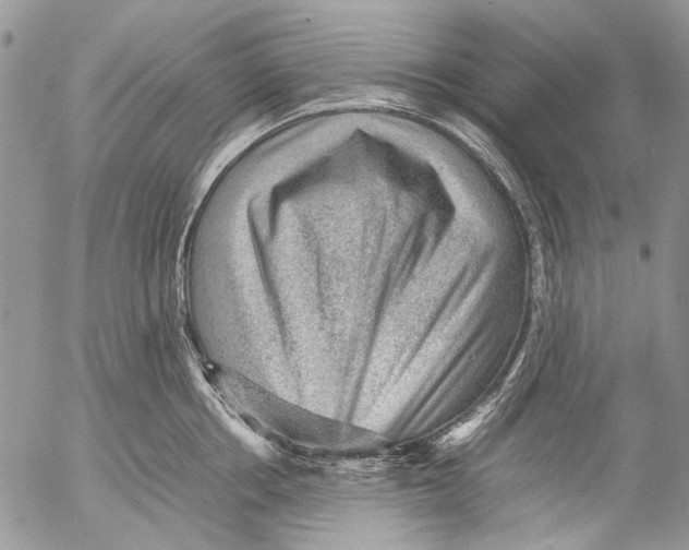 X0000053050858200508081127