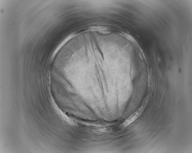 X0000053050859200508081127