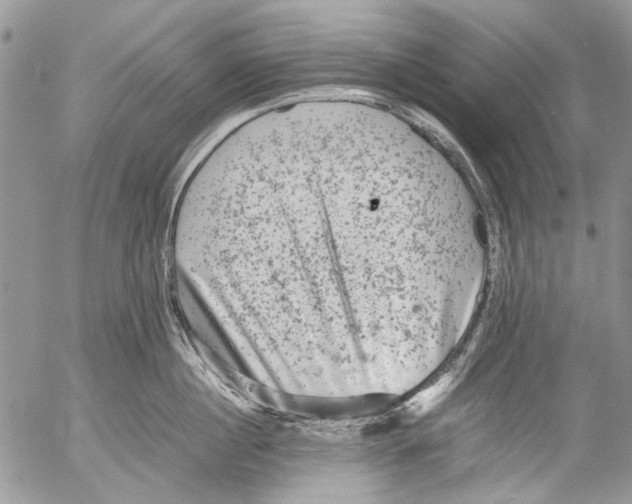 X0000053050860200508081127