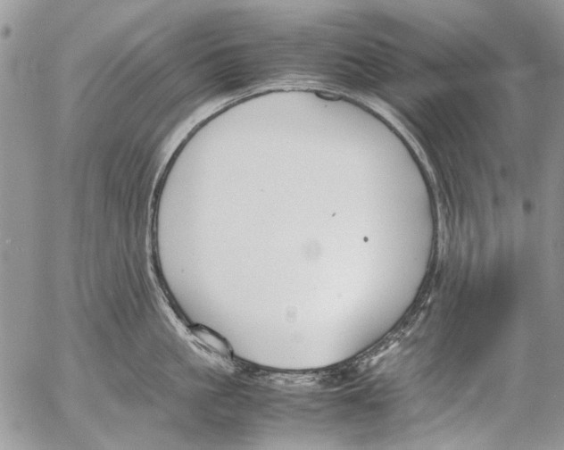 X0000053050861200508081127