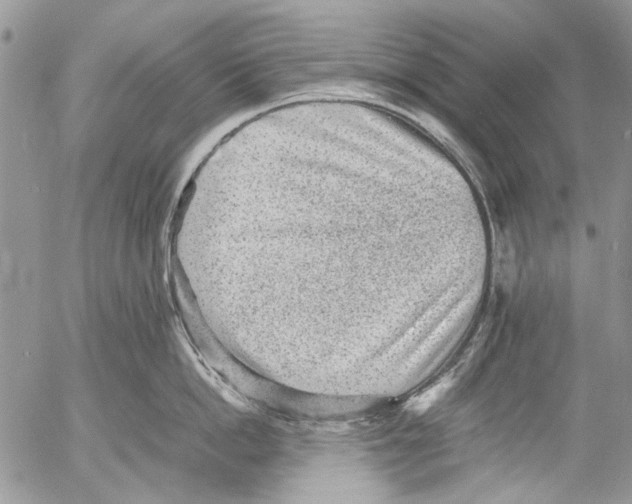 X0000053050862200508081127