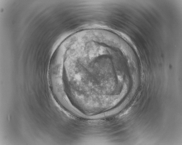 X0000053050863200508081127