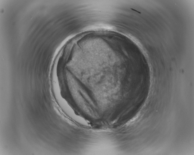 X0000053050864200508081127