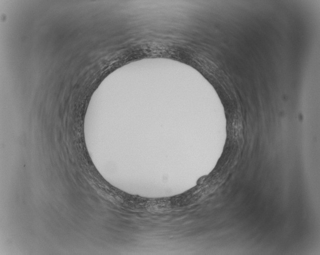 X0000053050865200508081126