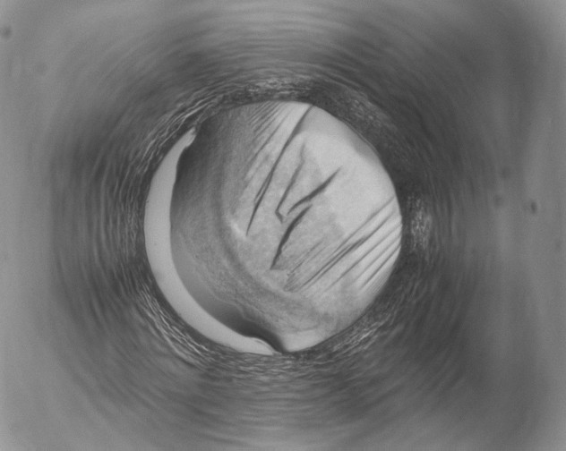 X0000053050868200508081126