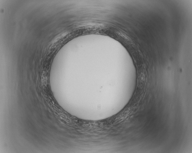 X0000053050869200508081126