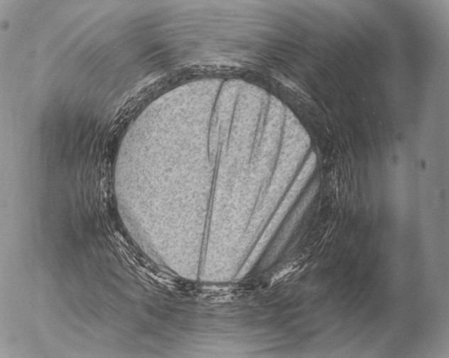 X0000053050870200508081126