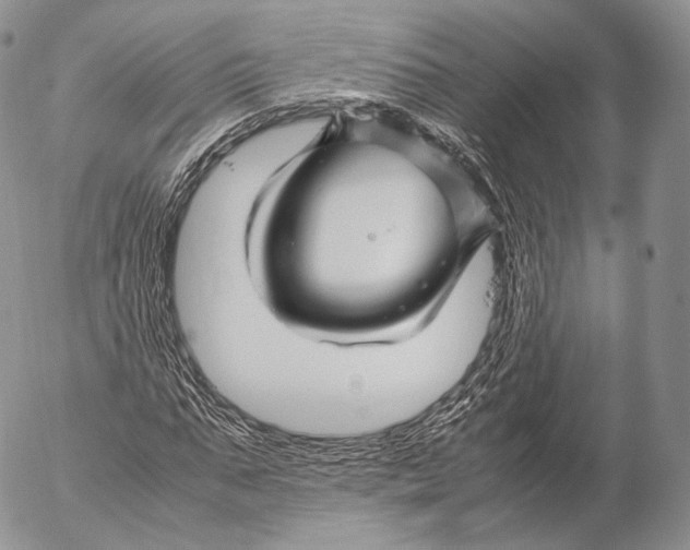 X0000053050871200508081126