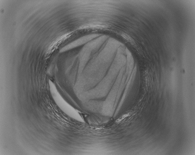 X0000053050872200508081126