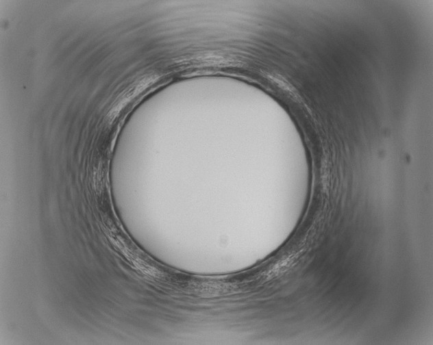 X0000053050873200508081126