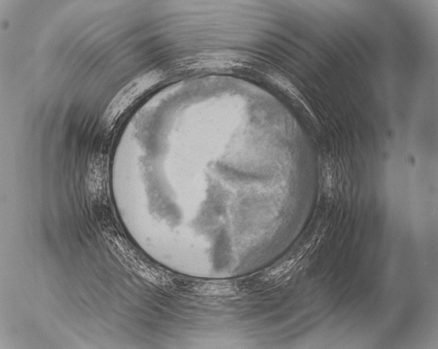 X0000053050874200508081126