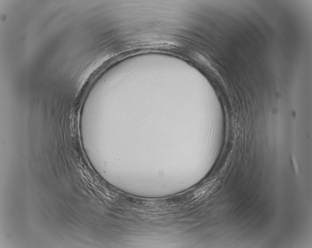 X0000053050875200508081126