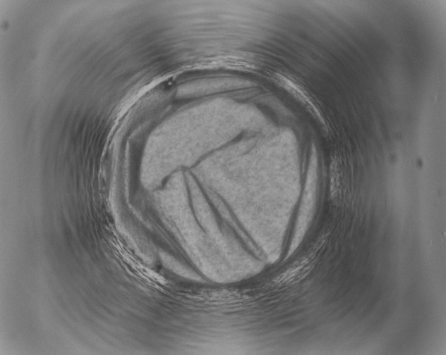 X0000053050876200508081126