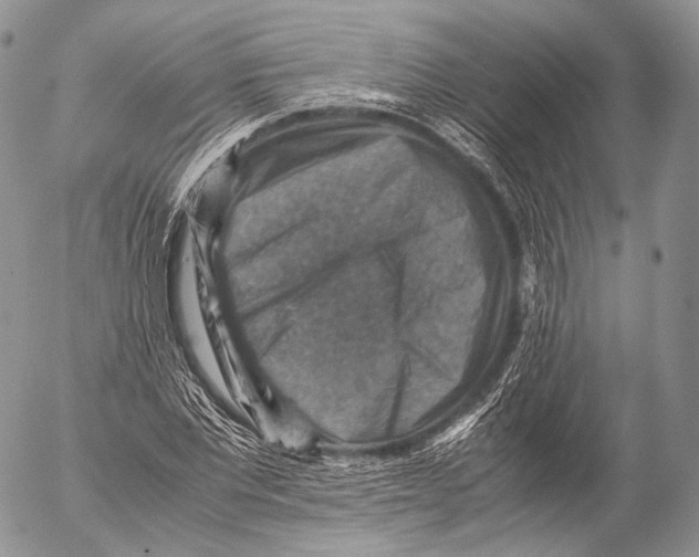 X0000053050877200508081126