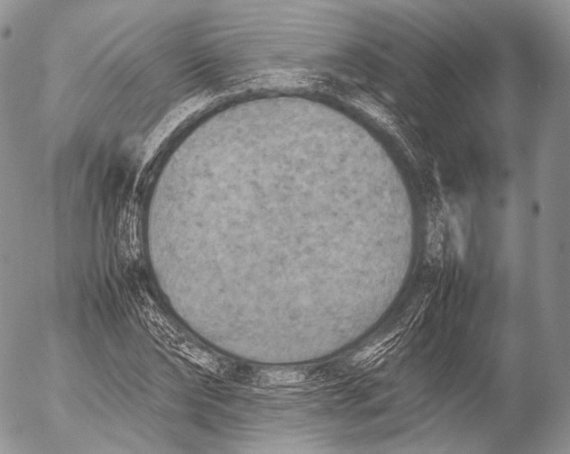 X0000053050878200508081126