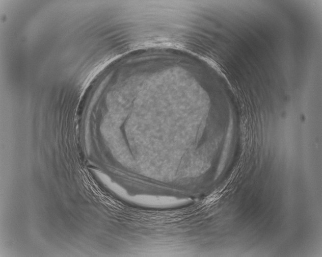 X0000053050879200508081126