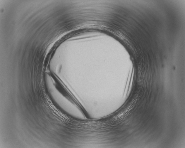 X0000053050880200508081126