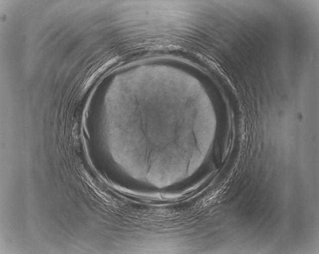 X0000053050881200508081126