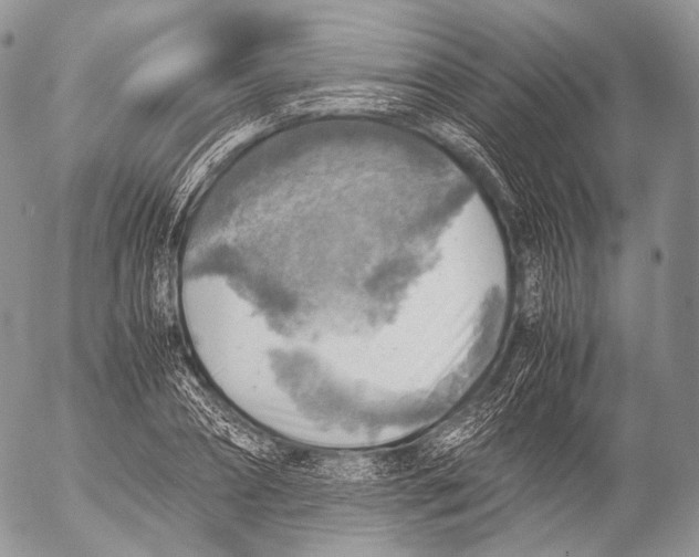 X0000053050882200508081126