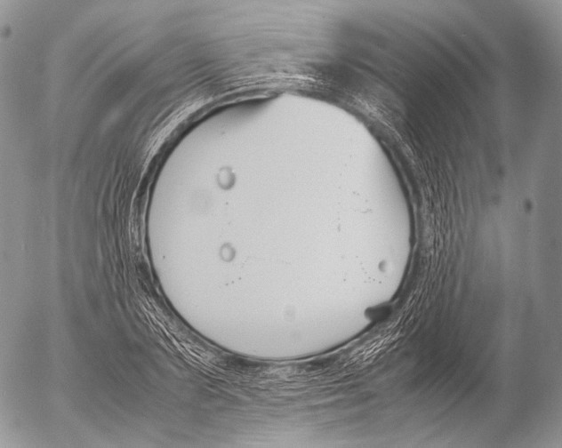 X0000053050883200508081126