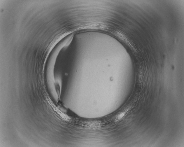 X0000053050884200508081126